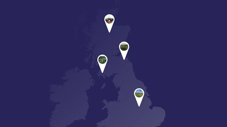 A natural way for the UK to play its part in climate change mitigation